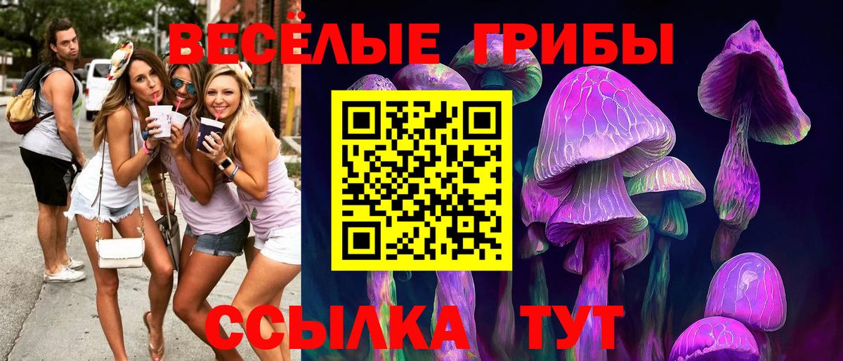 Сафоново  как найти закладки  Вход с VPN  Галлюциногенные грибы мицелий 