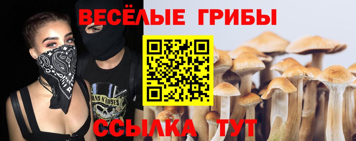 Псилоцибиновые грибы Magic Shrooms Сафоново